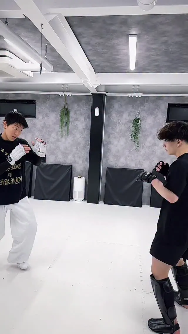 ライトスパーは…⤵︎